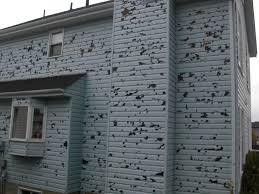 Public Adjuster taking photo of hail in Berks County