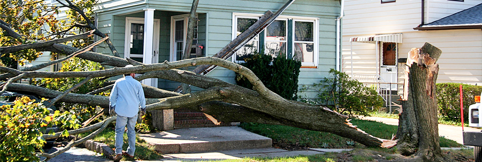 Our clients observing wind damage with the Public Adjuster