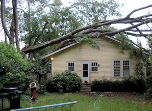 Storm Damage in Sicklerville, NJ