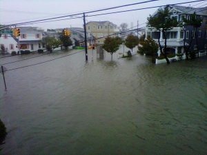 Public Adjuster Cape May County